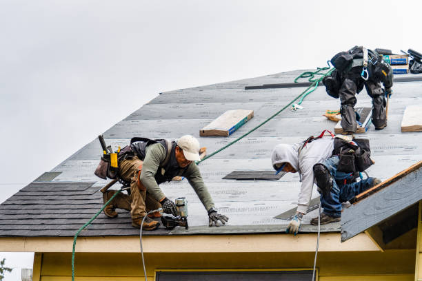 Professional Emergency Roof Repair technician working in Sparta, IL